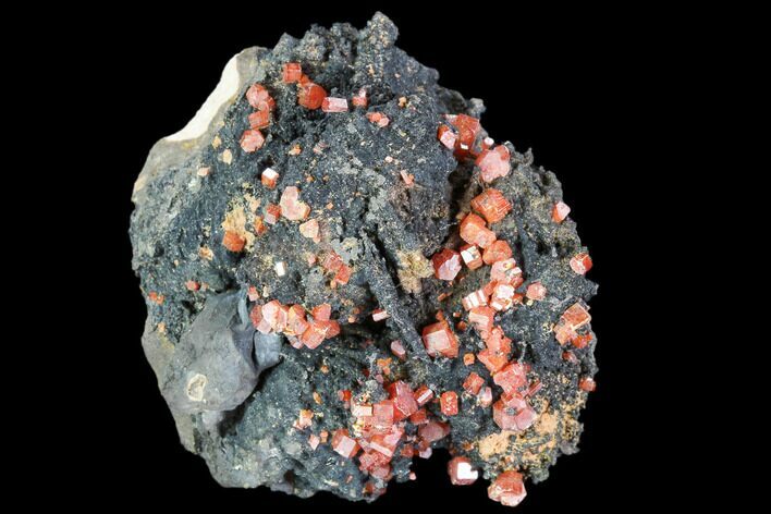 Red Vanadinite Crystals On Manganese Oxide - Morocco #103587
